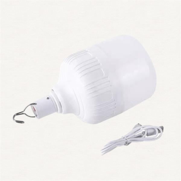 The Versatility of Emergency Light Bulbs