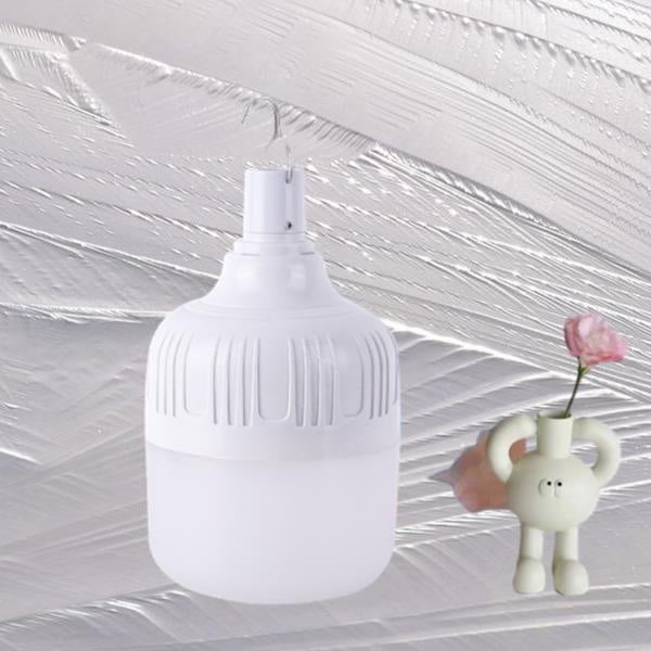 The Lifesaving Power of Emergency LED Bulbs"