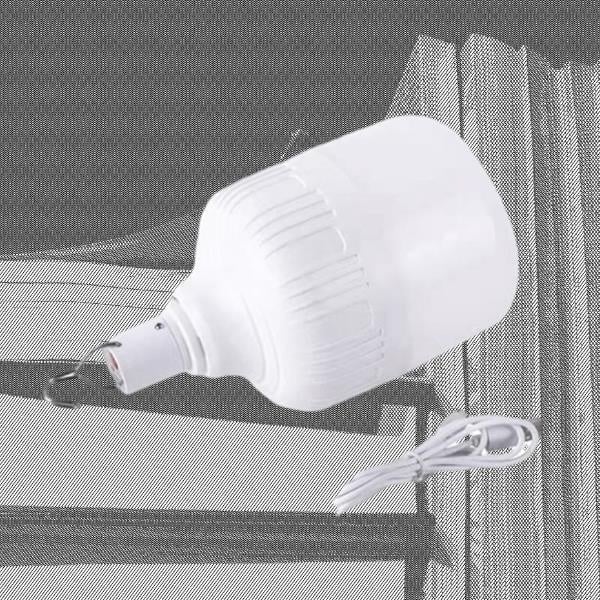 Stay Safe with Emergency LED Bulbs during Power Outages"