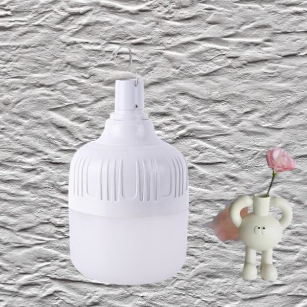 Consider a Rechargeable Emergency Bulb for Your Home.
