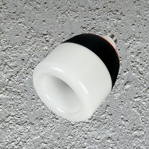 Emergency Light Bulbs for Power Outages.