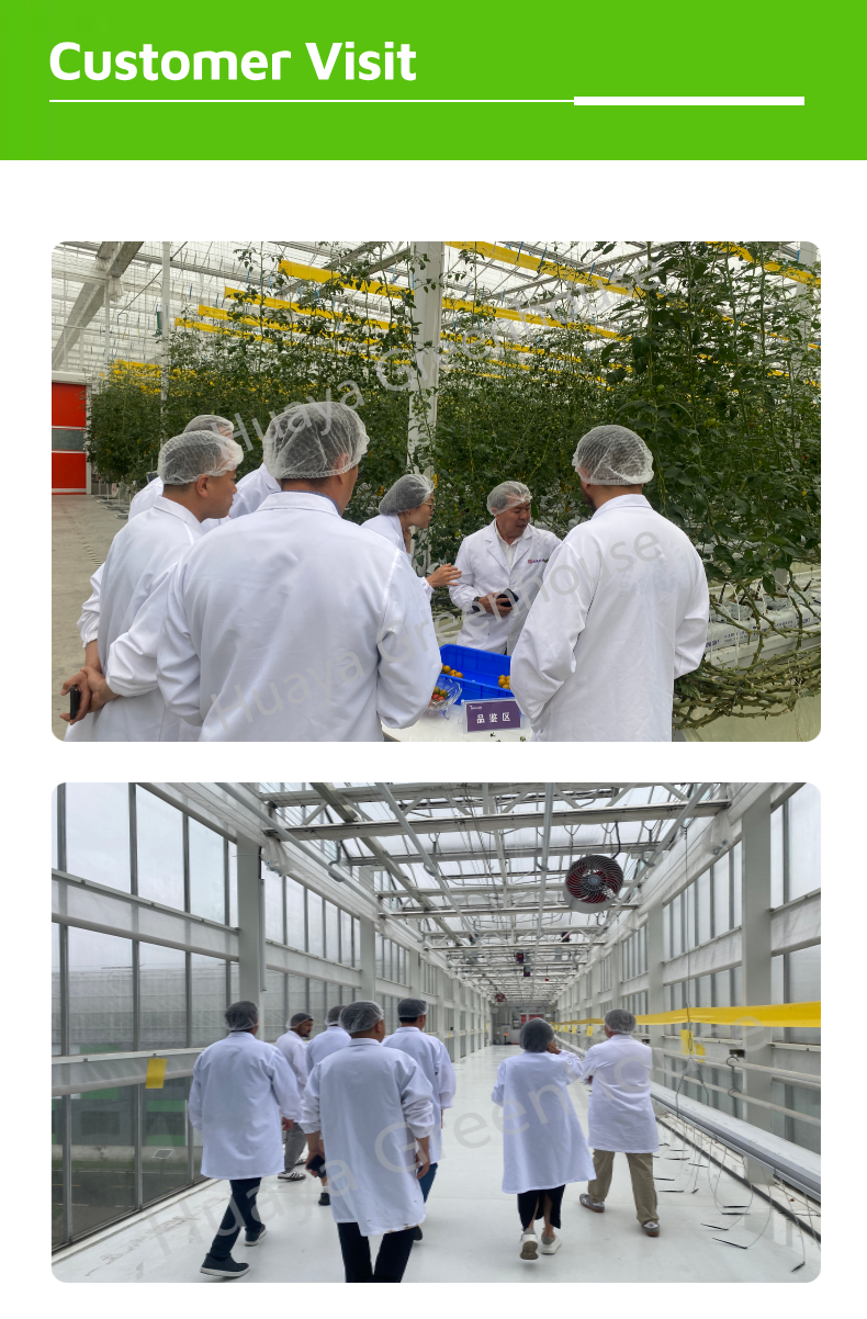 product low cost easy to construct black white breeding shed thermal plate included customizable scale according production site film-1