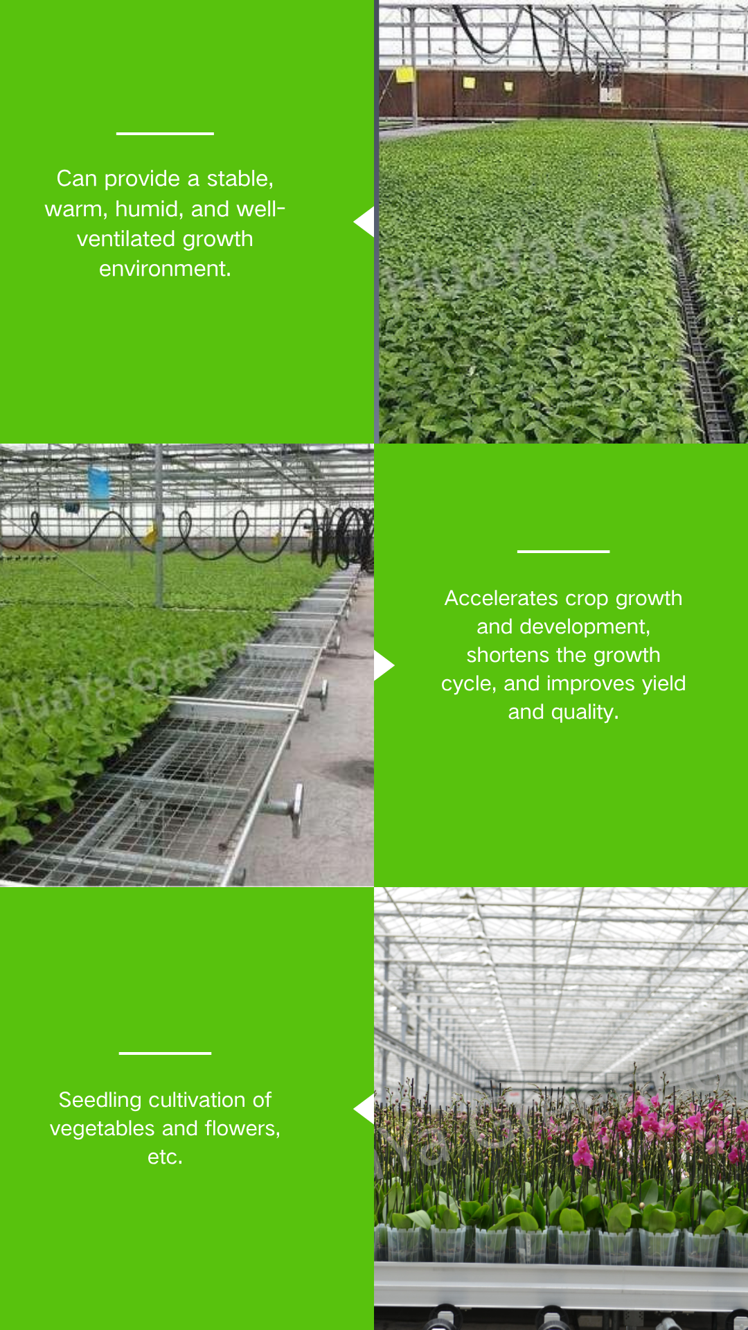 product large agricultural hot dip galvanized steel venlo commercial glass greenhouse with light deprivation blackout system-1