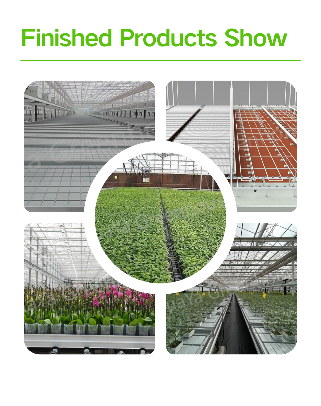 product large agricultural hot dip galvanized steel venlo commercial glass greenhouse with light deprivation blackout system-2