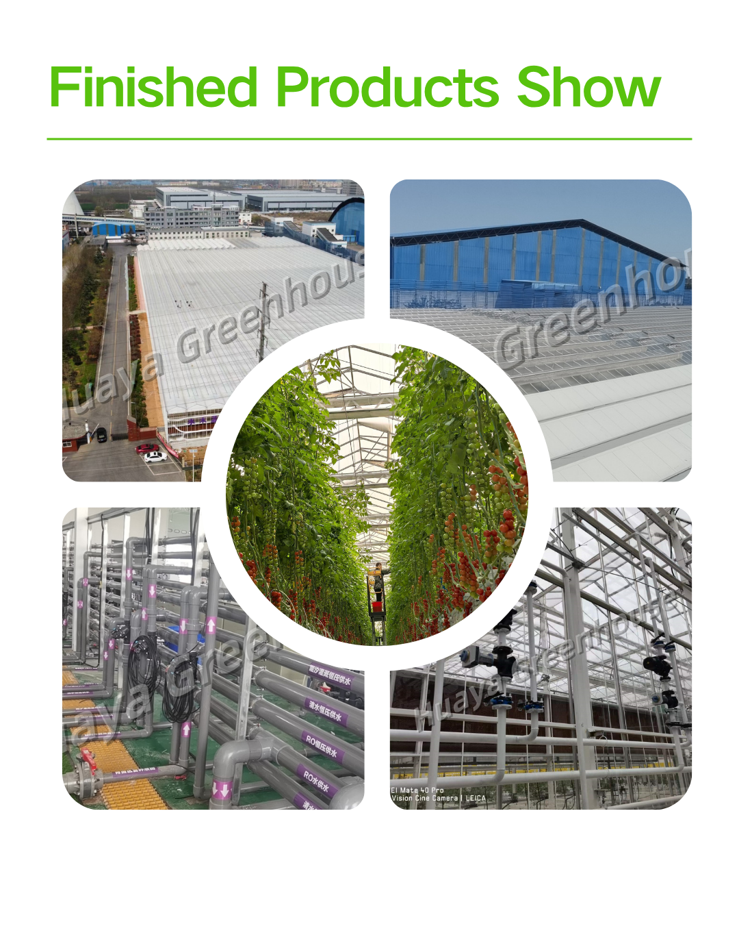 product customizable single layer steel plate storage shed black and white film sandwich board glass for agricultural greenhouses-3