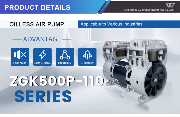 Class Portable Oil Free Compressor Head Unit 0.75 HP 2.0 Bar Silent Vacuum Pump for Sale supplier
