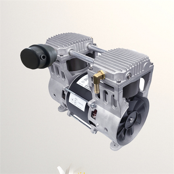 Choosing the right oil free pump for your specific needs