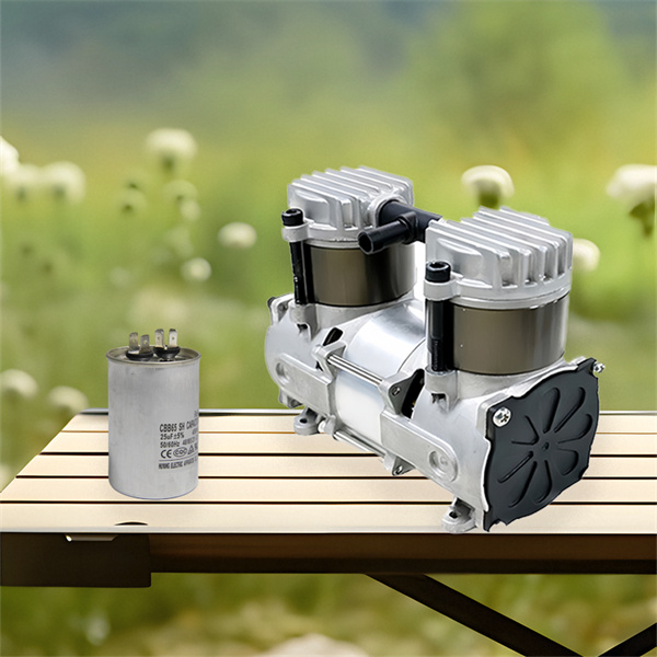 Versatile and Handy 12 Volt DC Air Compressor