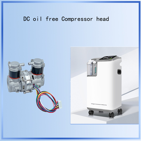 Oil-free design for low maintenance and clean air outp