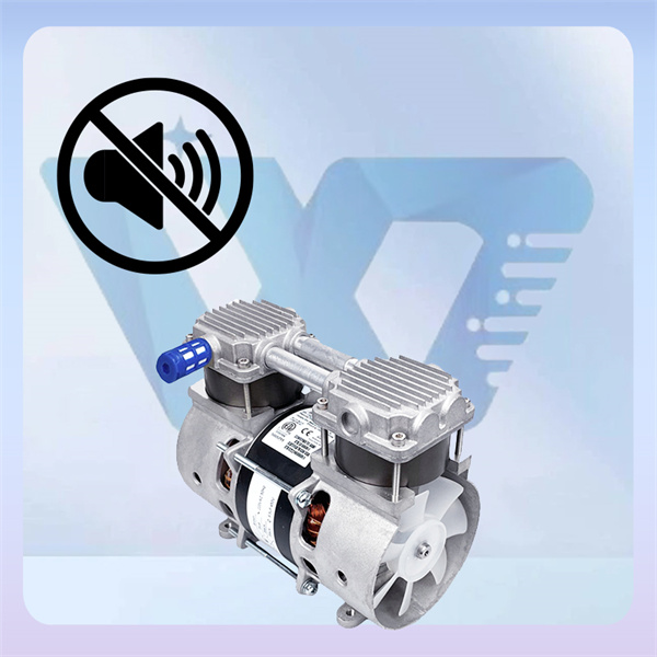 Exploring the Inner Workings of an Oil-Free Piston Vacuum Pump