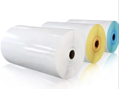 How to Store Cash Register Paper Rolls to Prevent Damage