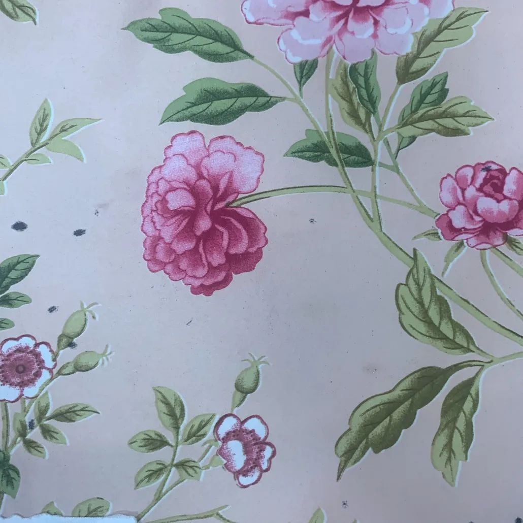 2021 (Summer) Foulola News：High Grade Print Country Style 2/4 supplier