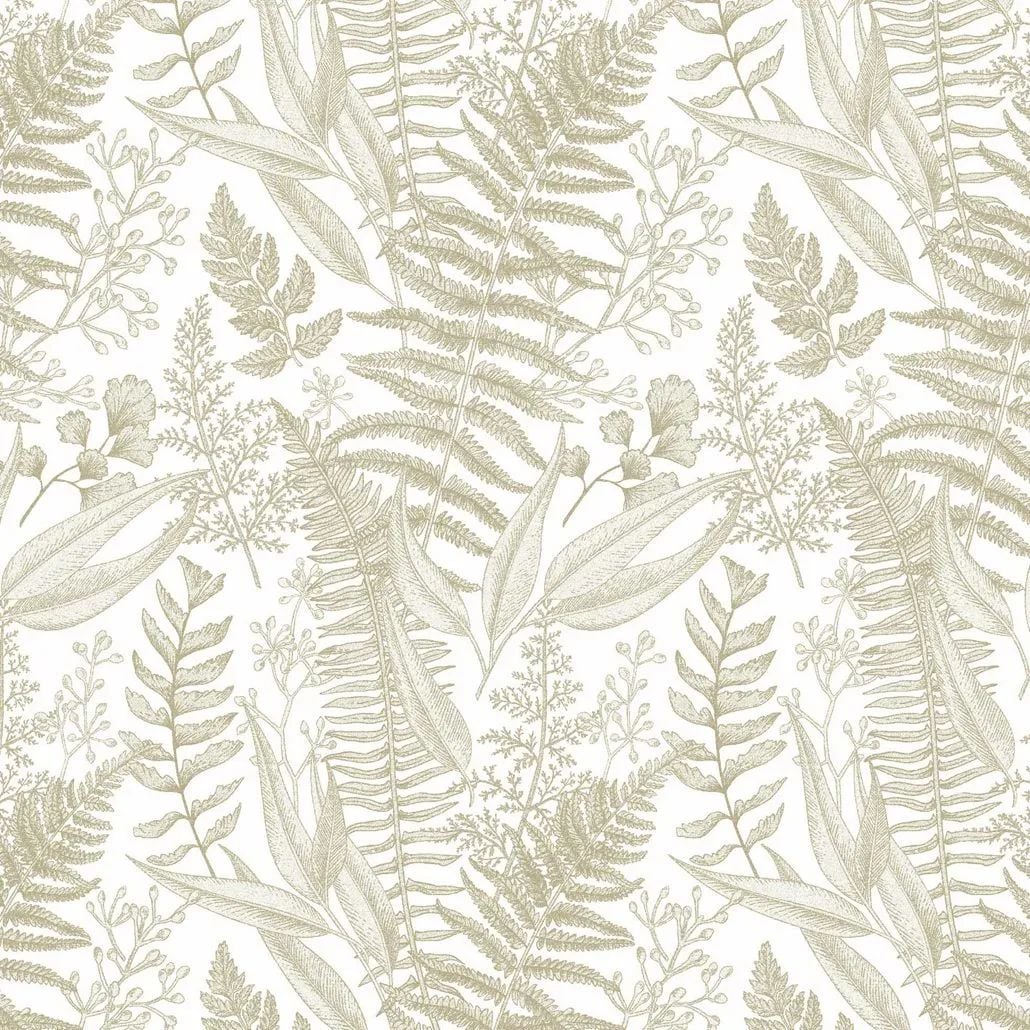 2022 (Dec.) Foulola News: Country Style High Grade Print supplier