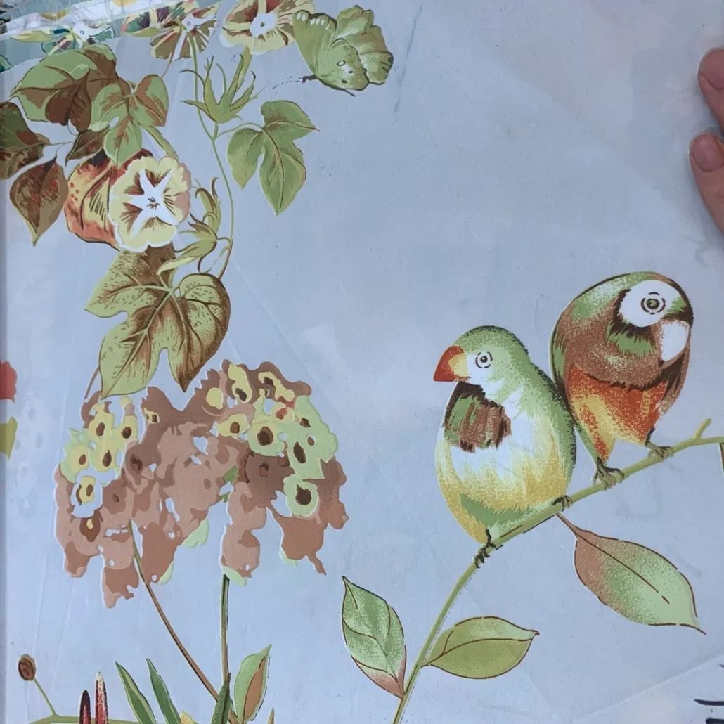 2021 (Summer) Foulola News:High Grade Print Country Style 1/4 factory