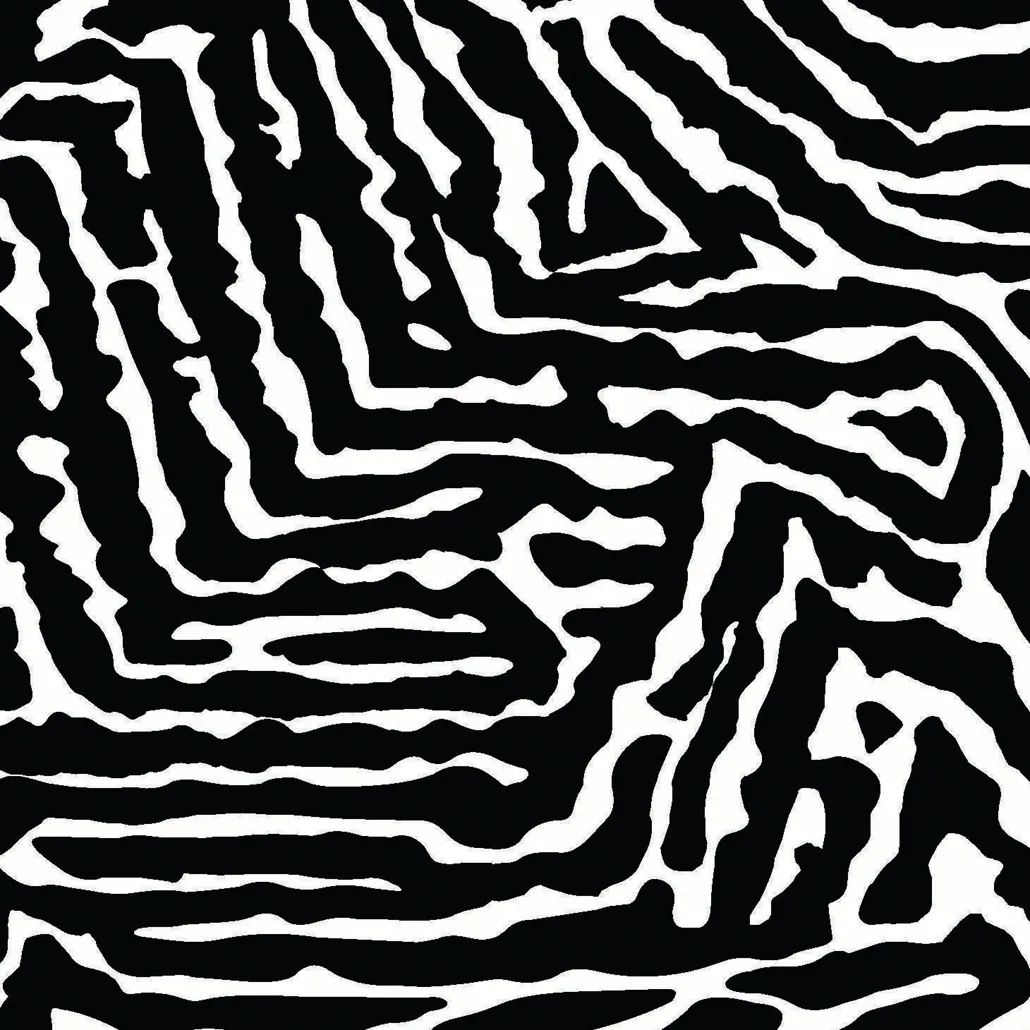 2021 (Summer) Foulola News: High Grade Print-- Moden Style 2/4 details