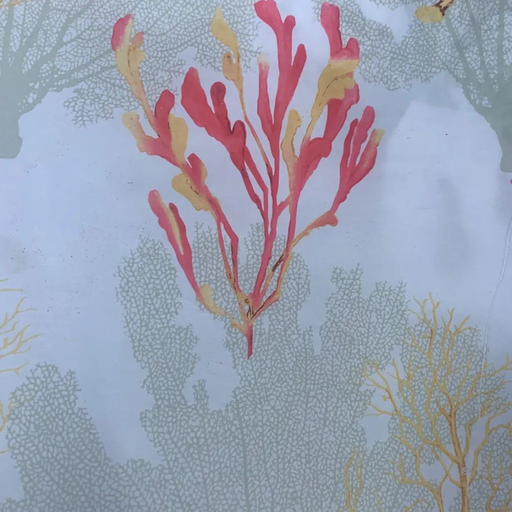 2021 (Summer) Foulola News：High Grade Print Country Style 2/4 details