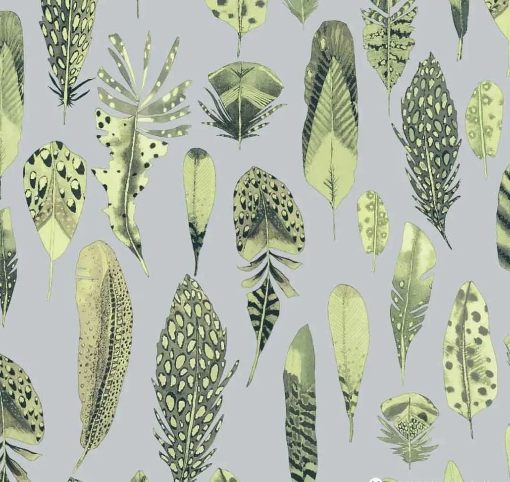 2021 (Summer) Foulola News:High Grade Print Country Style 4/4: factory