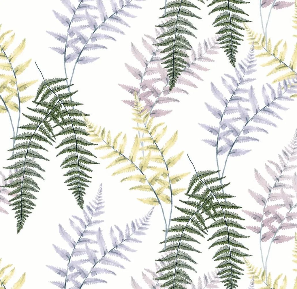 2021 (Summer) Foulola News:High Grade Print Country Style 4/4: supplier