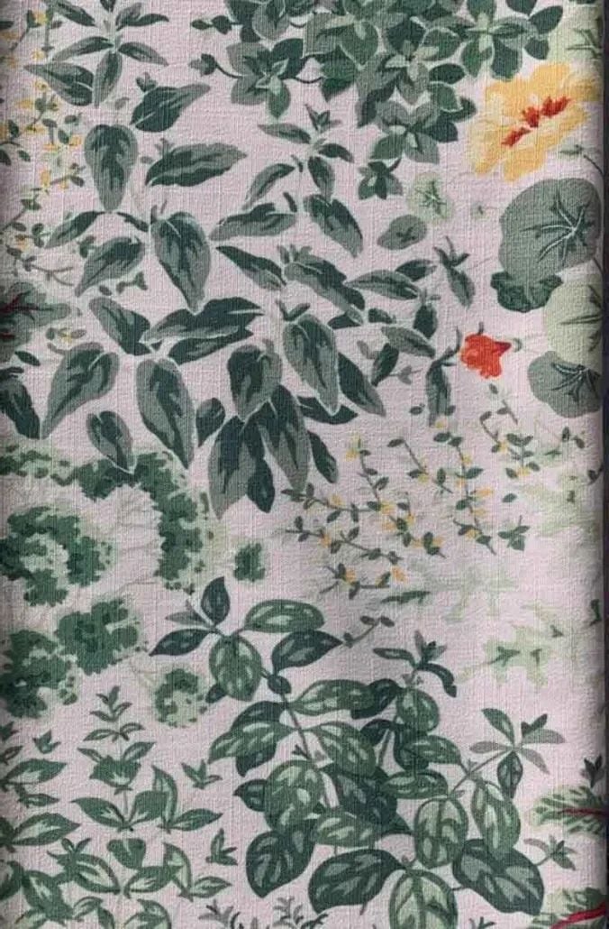 2021 (Summer) Foulola News:High Grade Print Country Style 4/4: details