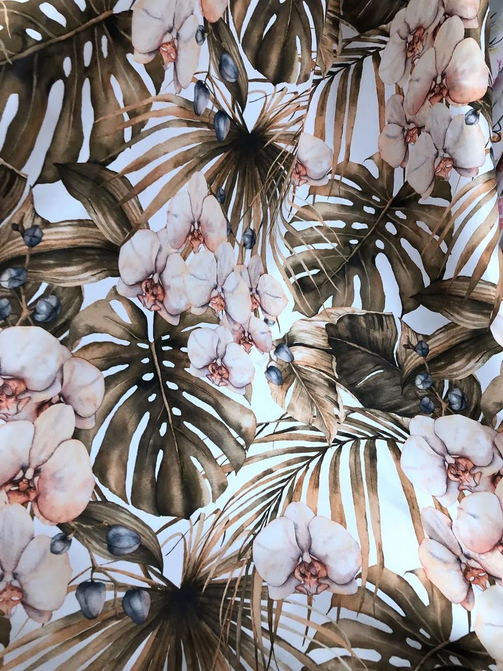 2022 (Fab.) Foulola News: Country Style High Grade Print details