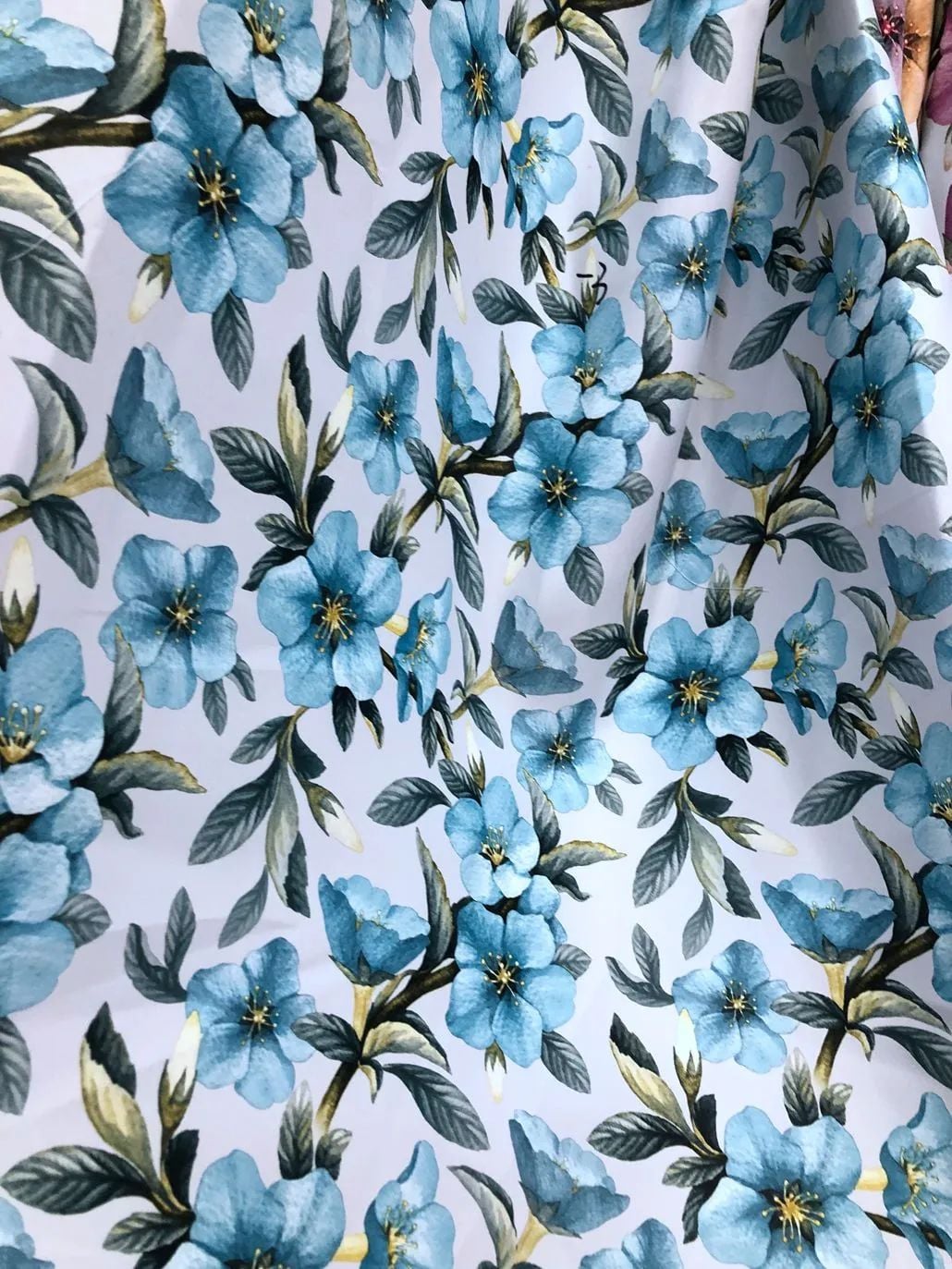 2022 (Fab.) Foulola News: Country Style High Grade Print supplier