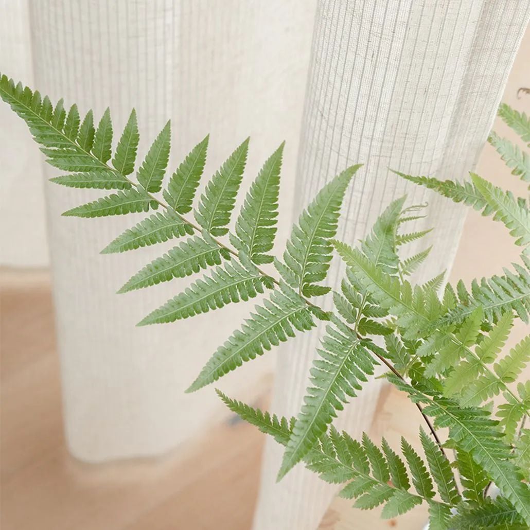 Foulola News: High Grade Linen WF2#series Sheer 2.85-3.0m Width manufacture