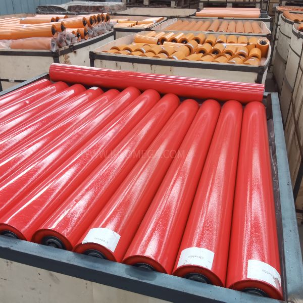 Amaninzi akusetyenziswa kweCarrier Rollers: