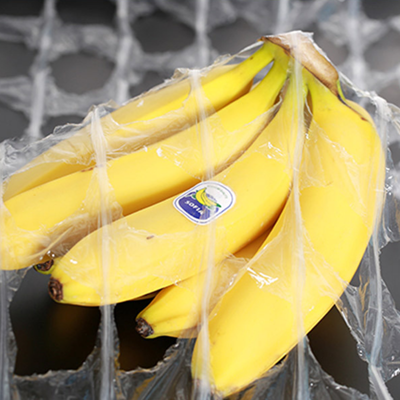 food cold chain-4