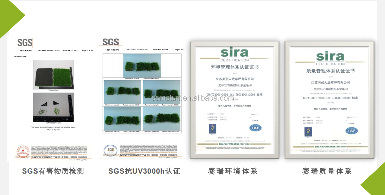 certificate (1).png
