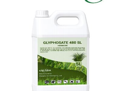 Chlorpyrifos Pesticide Broad Spectrum Effect For Soil And Foliar Pests