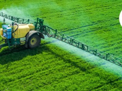 Cie Chemical-Top 10 Emamectin Benzoate Manufacturers in Iraq
