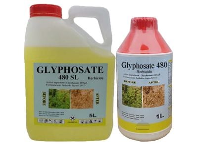Kelebihan Utama Penggunaan Glyphosate 480g/L SL untuk Kawalan Rumpai