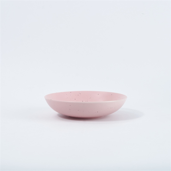 Perfect for Tapas and Appetizers - Small Ceramic Plates for Every Occasion