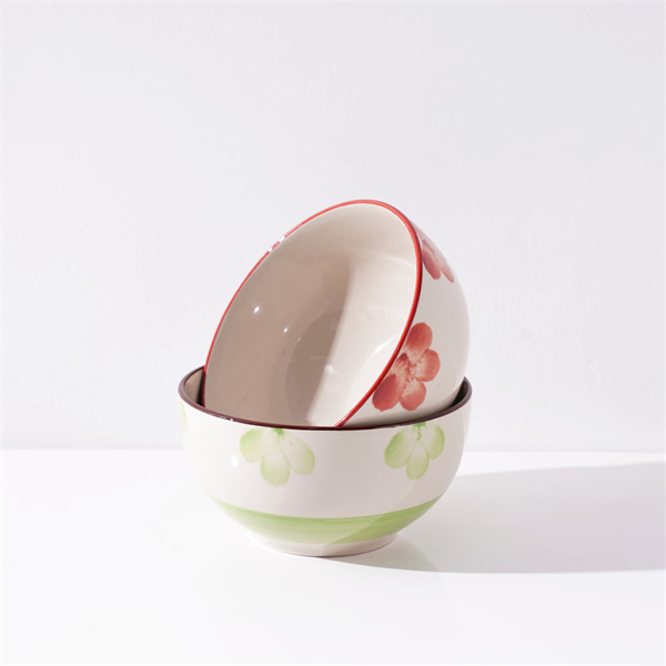 Coloured Ceramic Bowls for Everyday Use