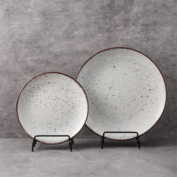 Dine in style with a luxurious fine china plate se