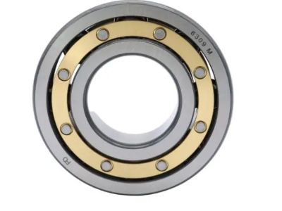 What Are the Types of Oil Seals and Their Applications?