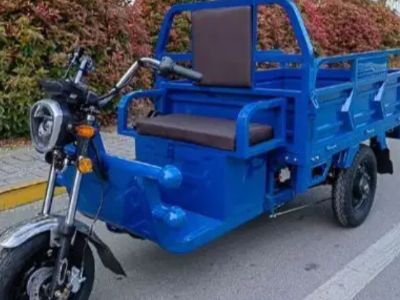 Une voiture électrique compacte pratique pour les magasins, les fermes, les stations balnéaires et les usines