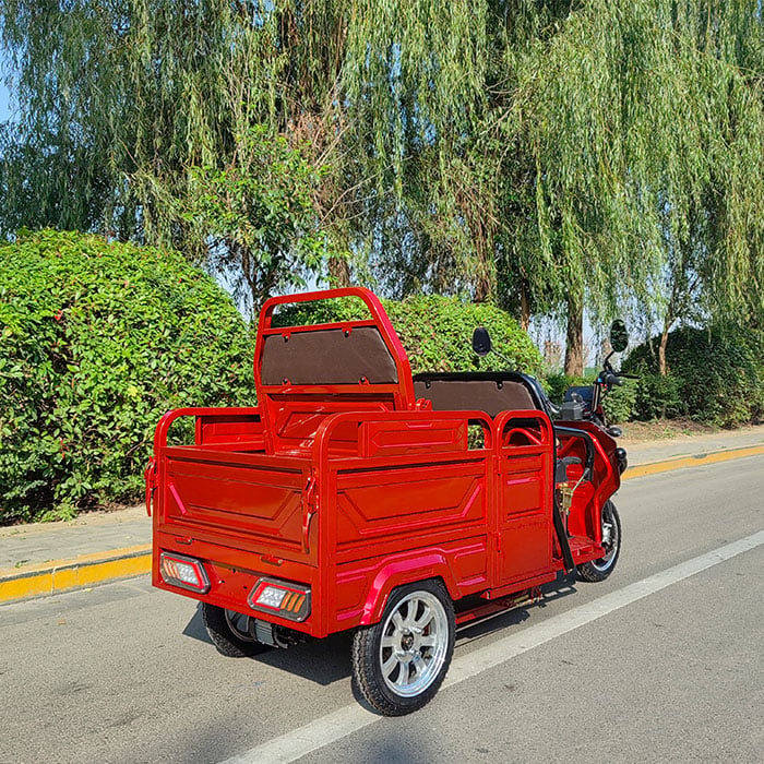 Electric Trikes Revolutionize the Ride