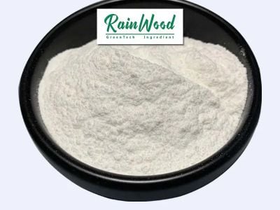 The Bioavailability Study of Creatine Monohydrate Gummies vs Powders