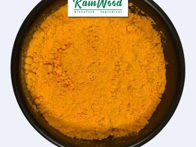 What Determines the Bioavailability of Curcumin Powder