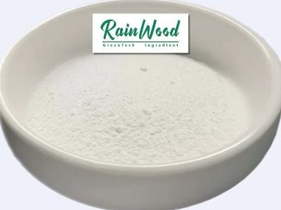 Latest Trends in Nutritional Supplements for Weight Management