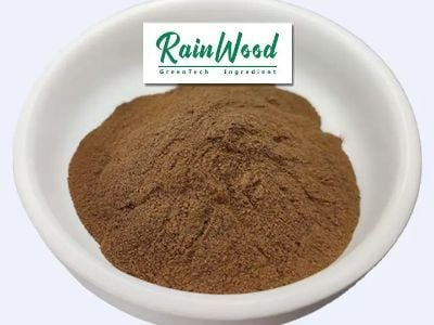 How Ashwagandha Capsules Influence Cortisol Regulation