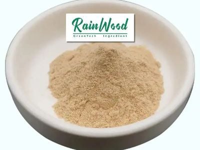 The Role of Nutritional Supplements in Anti-Aging Strategies