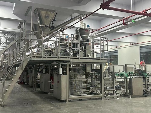 JCN-G1-1B High Speed Auto Bag Placer details