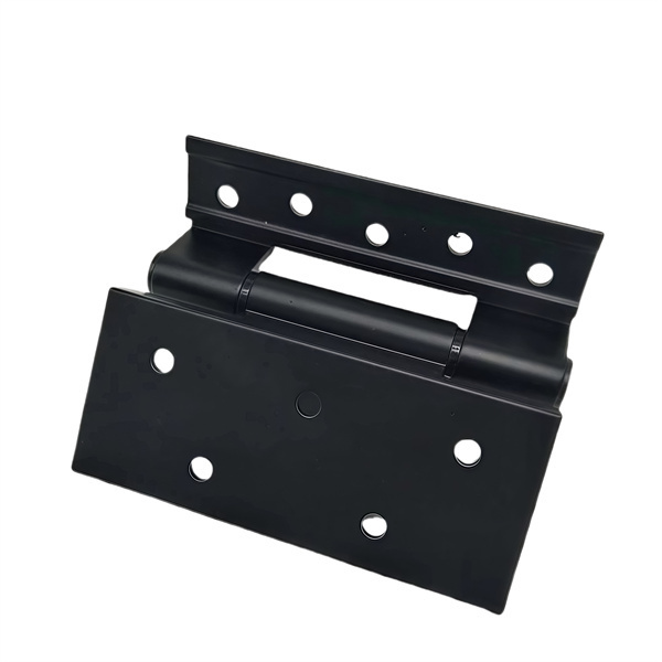 Discover the Versatility of Double Swing Hinges