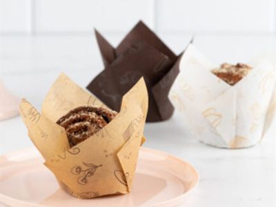 Plastic vs. Paper in Freezers: Material Performance Tests