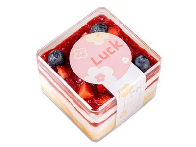 Cookie Box Upcycling: Transforming Plastic Containers into Organizers