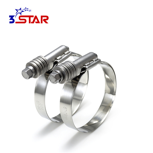 Heavy Duty Hose Clips for Heavy-Duty Tasks