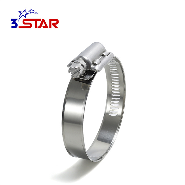 Pressure--adjustable clamp for precision work: