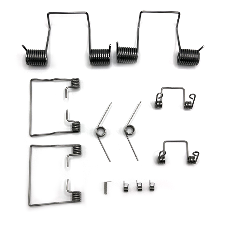 Hongsheng Stainless Steel Lock Spiral Torsion Springs Manufacturer supplier